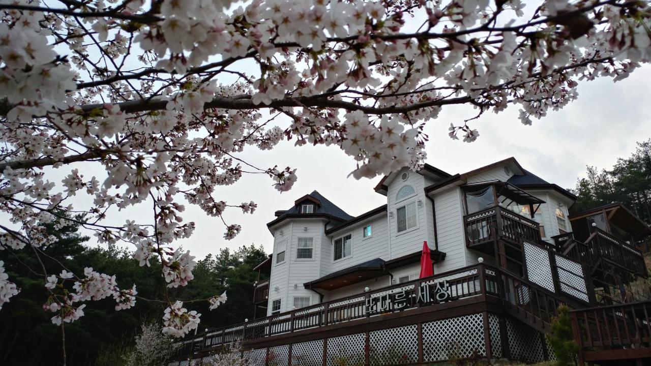 Another World Pension 慶州市 エクステリア 写真